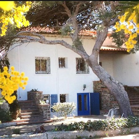 Villa Bleue - Les Pins Пор-Вандр Экстерьер фото
